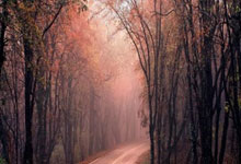 U17亚洲杯预选赛中国U16男国家队.