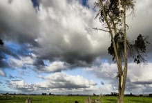 帕利尼亚：我要证明自己对得起转会费 目标欧冠决赛仍需再迈出2步.