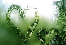 兰博电竞官网：全国女子举重锦标赛收官 黑龙江队获4枚金牌3-25 15：58.